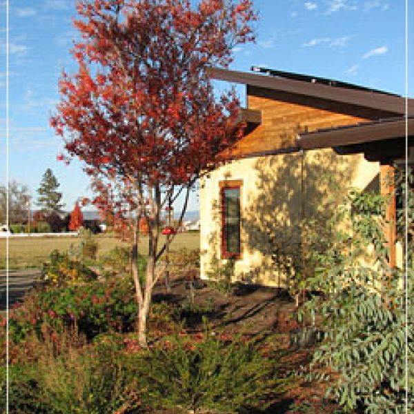 landscape design and consultation services