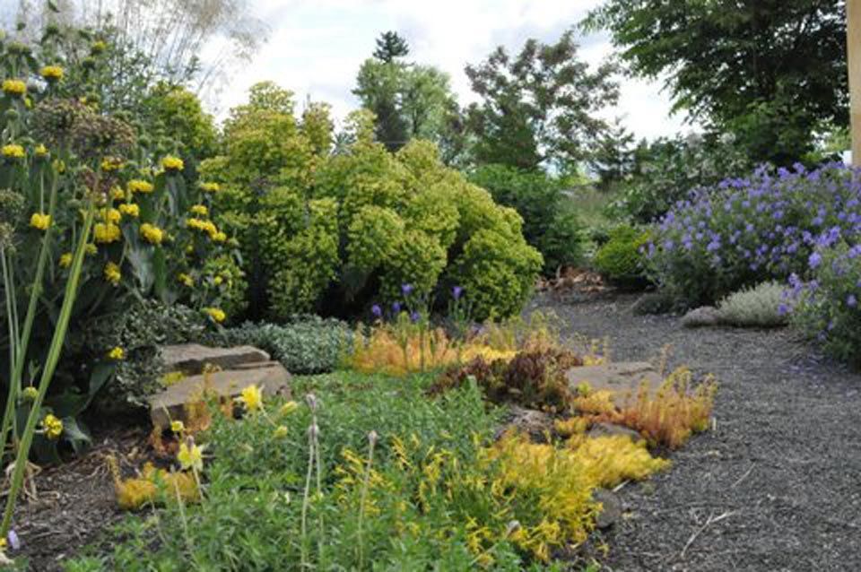 Landscape design project by Shooting Star Nursery