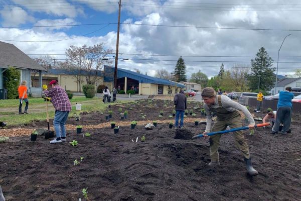 community garden project medford