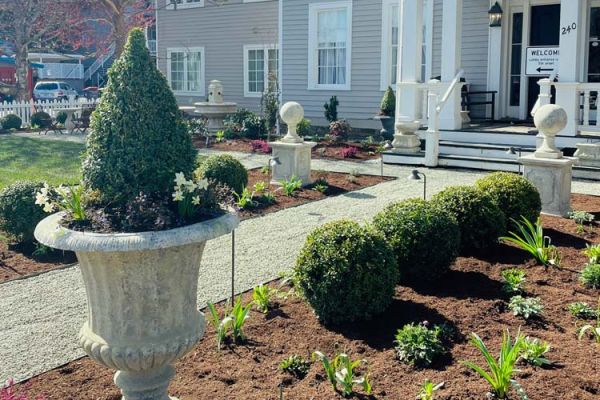 freshly planted English-themed garden landscape