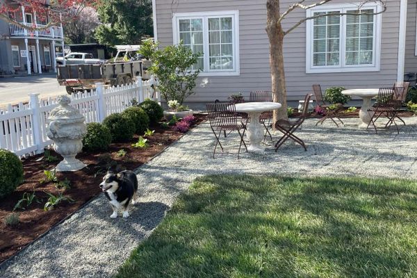 deer resistant cottage garden landscaping