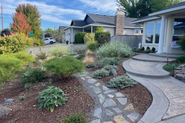 after lawn replacement with drought tolerant and low maintenance plants