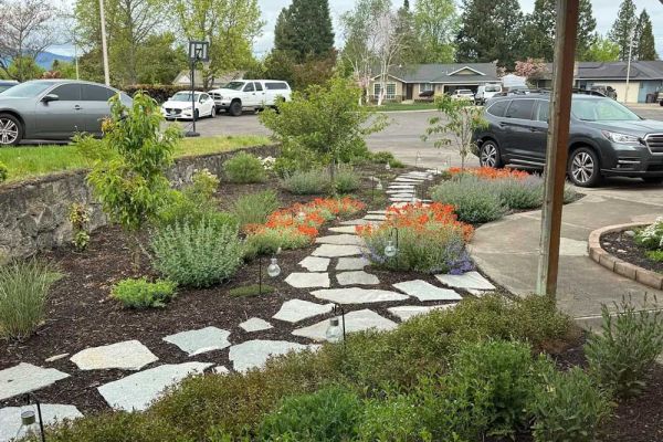 front lawn replacement project uses flagstone steps and pollinator friendly plants