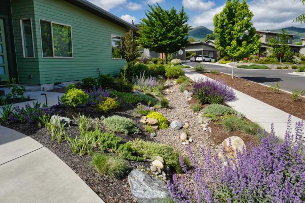 Ashland drought and deer resistant landscaping in spring