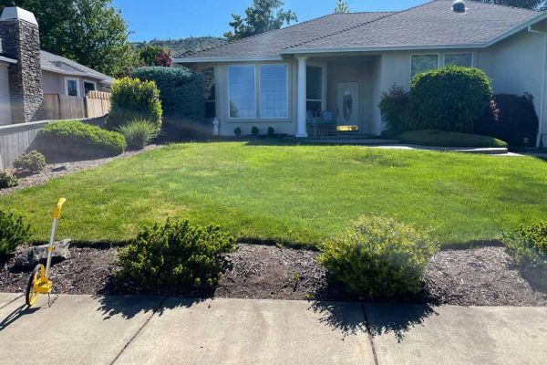 before lawn replacement in Medford Oregon front yard