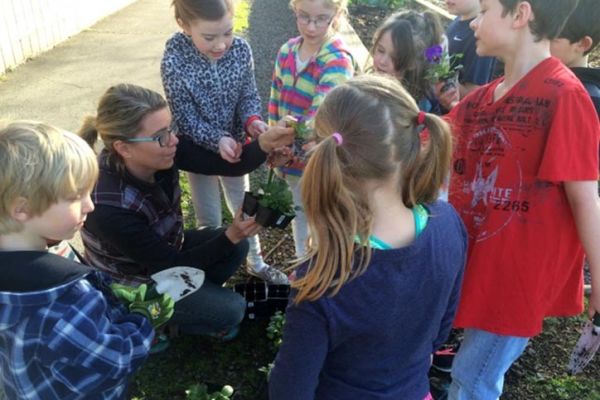 elementary school students learn to plant and care for food and pollinator garden