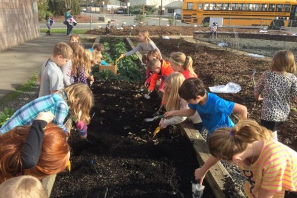 elementary school children planting garden bed