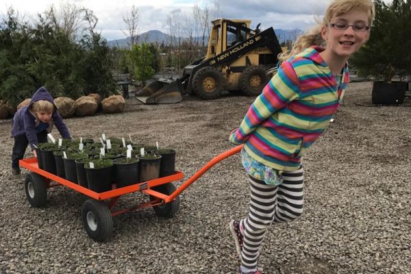 Kids learning and helping at nursery