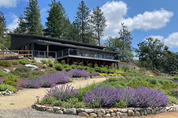 Vista 222, an Applegate Valley winery event function space, received major landscape design improvements with terracing and pollinator friendly, drought resistant, deer tolerant plants