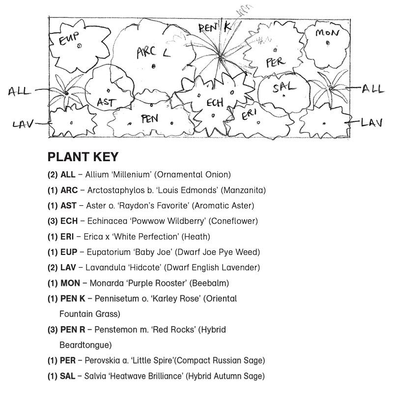 pollinator sun garden plan detail