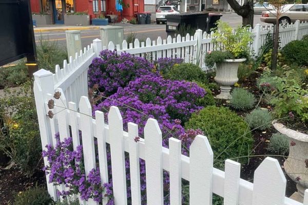 cottage garden landscaping filling in