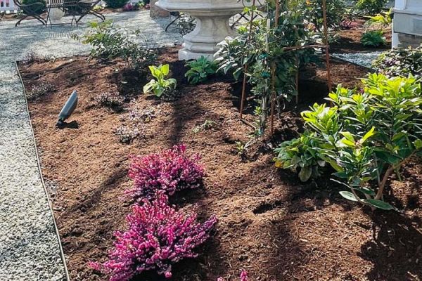 newly planted deer resistant landscaping